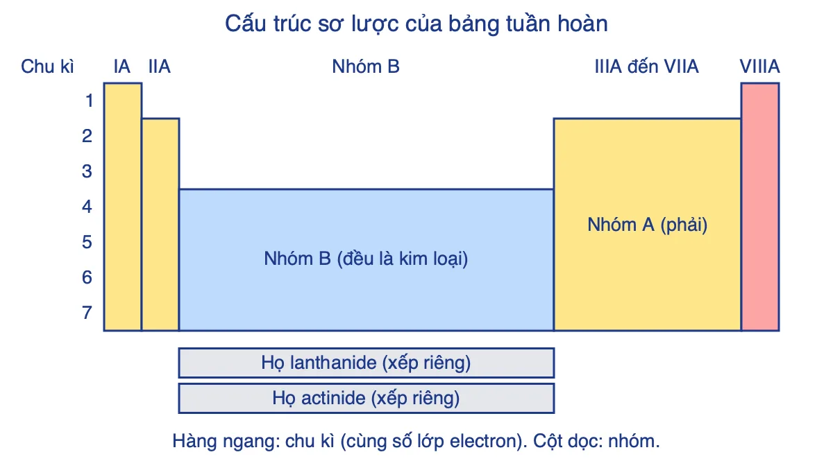 Sơ đồ cấu trúc sơ lược của bảng tuần hoàn gồm 7 chu kì, nhóm A, nhóm B và hai họ xếp riêng