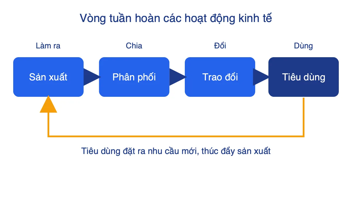 Sơ đồ vòng tuần hoàn bốn hoạt động kinh tế: sản xuất, phân phối, trao đổi, tiêu dùng
