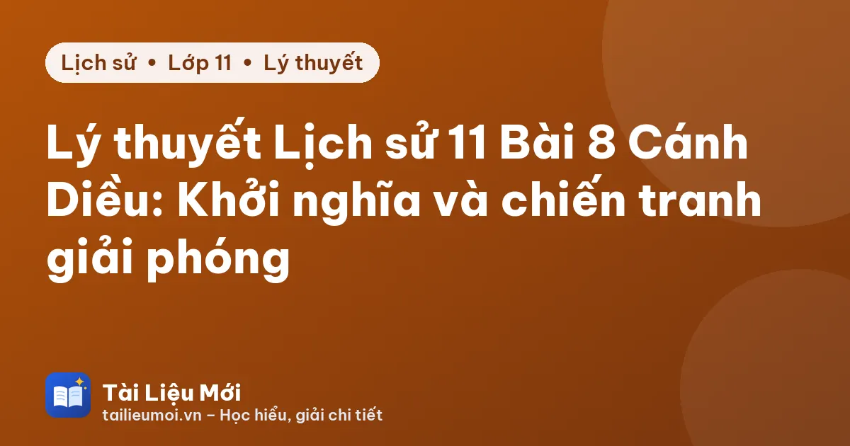 Lý thuyết Lịch sử 11 Bài 8 Cánh Diều: Khởi nghĩa và chiến tranh giải phóng