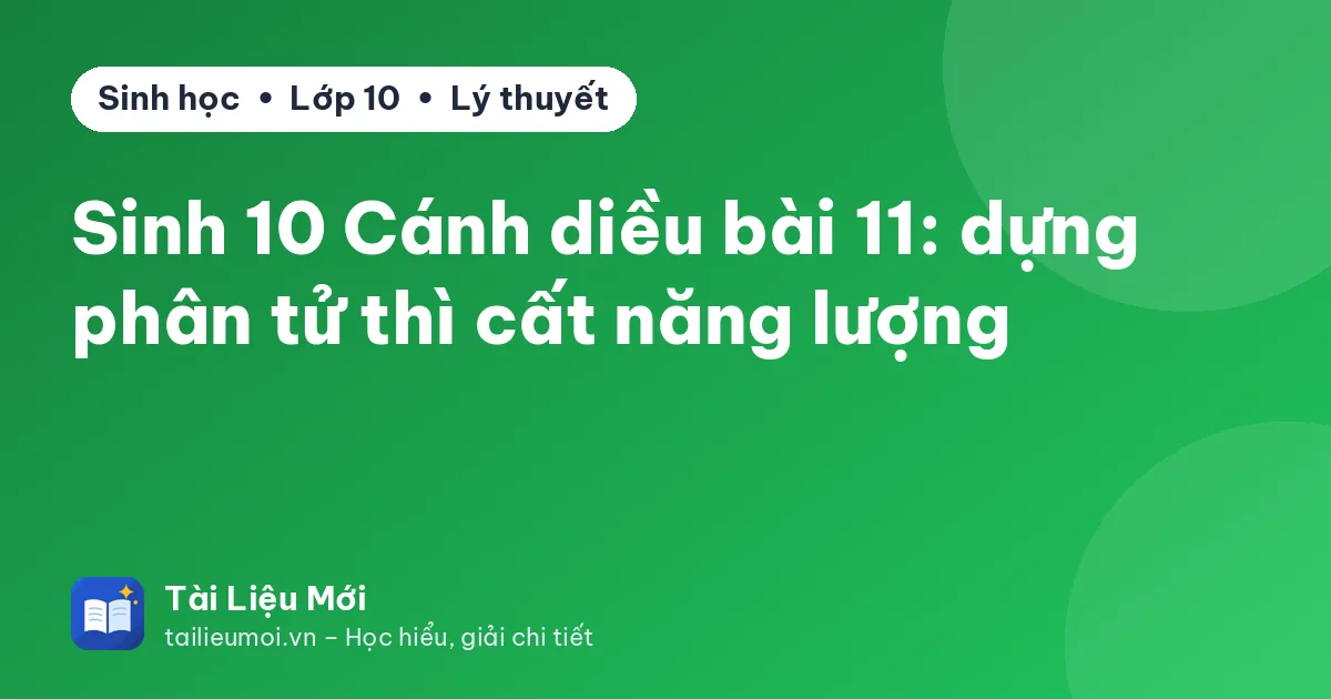 Sinh 10 Cánh diều bài 11: dựng phân tử thì cất năng lượng