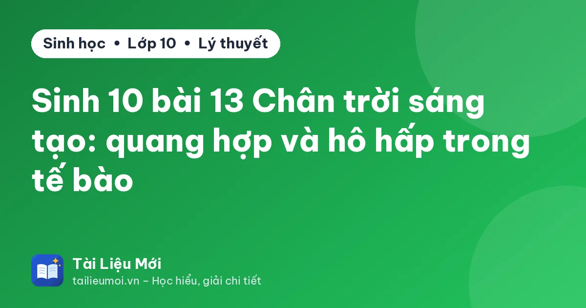 Sinh 10 bài 13 Chân trời sáng tạo: quang hợp và hô hấp trong tế bào