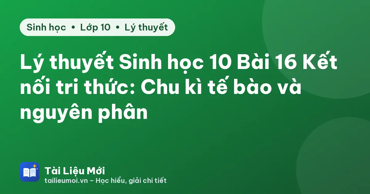 Lý thuyết Sinh học 10 Bài 16 Kết nối tri thức: Chu kì tế bào và nguyên phân