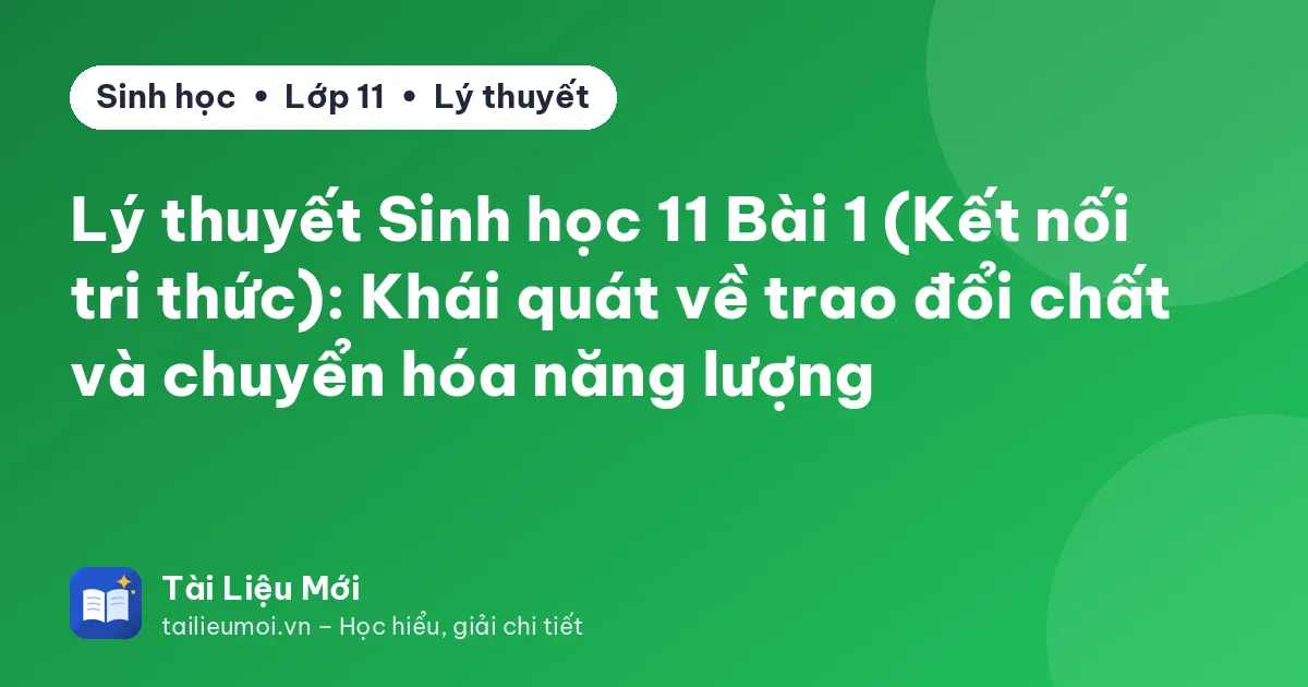 Lý thuyết Sinh học 11 Bài 1 (Kết nối tri thức): Khái quát về trao đổi chất và chuyển hóa năng lượng