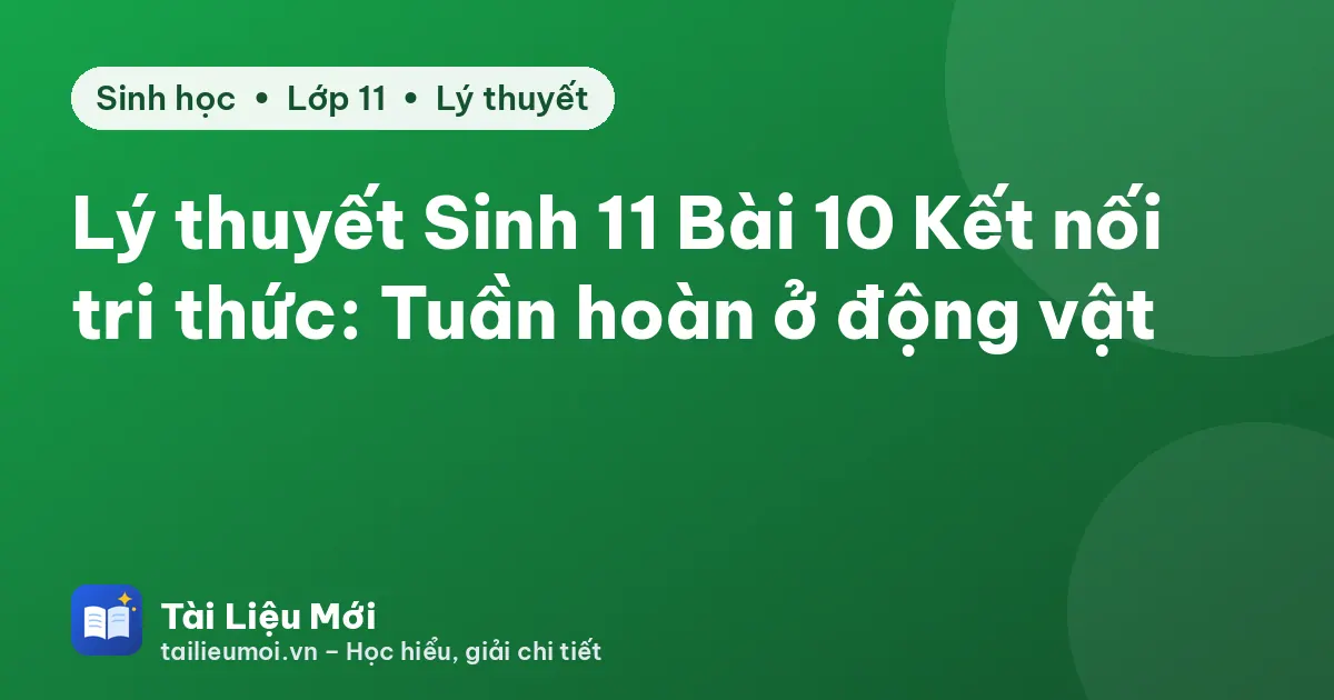 Lý thuyết Sinh 11 Bài 10 Kết nối tri thức: Tuần hoàn ở động vật