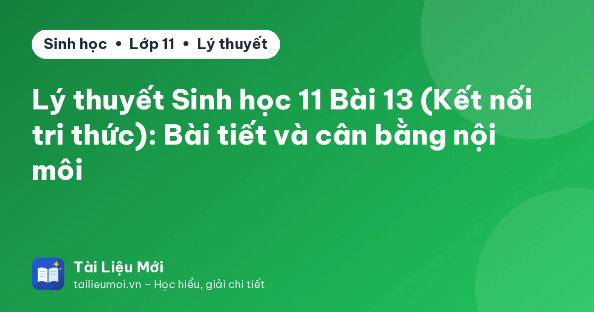 Lý thuyết Sinh học 11 Bài 13 (Kết nối tri thức): Bài tiết và cân bằng nội môi