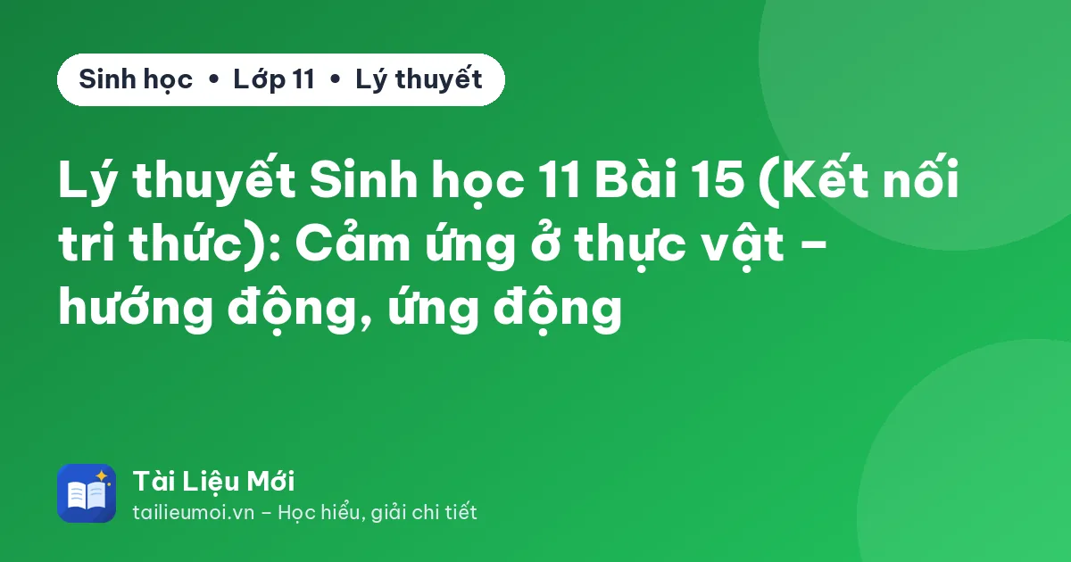 Lý thuyết Sinh học 11 Bài 15 (Kết nối tri thức): Cảm ứng ở thực vật – hướng động, ứng động