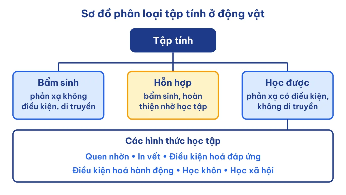 Sơ đồ phân loại tập tính ở động vật và các hình thức học tập Sinh 11 Bài 18