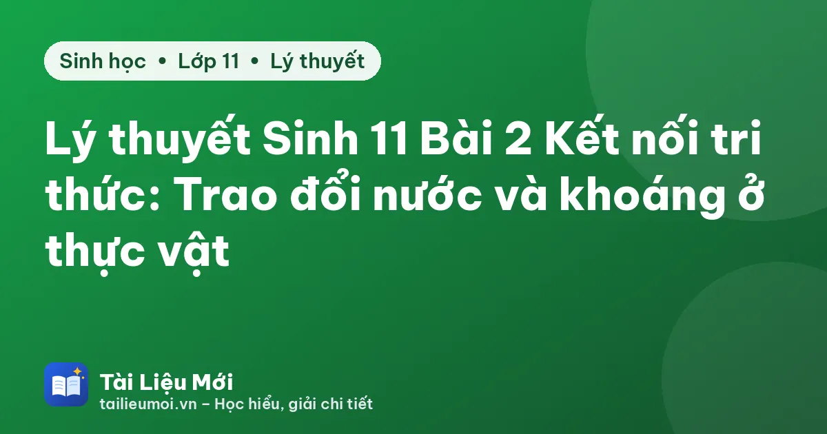 Lý thuyết Sinh 11 Bài 2 Kết nối tri thức: Trao đổi nước và khoáng ở thực vật