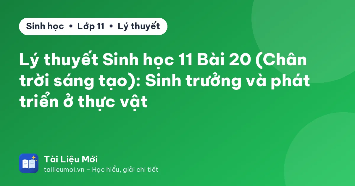 Lý thuyết Sinh học 11 Bài 20 (Chân trời sáng tạo): Sinh trưởng và phát triển ở thực vật