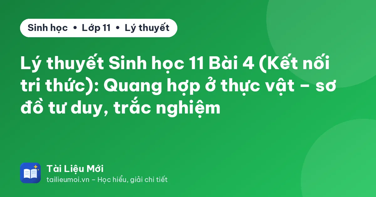 Lý thuyết Sinh học 11 Bài 4 (Kết nối tri thức): Quang hợp ở thực vật – sơ đồ tư duy, trắc nghiệm