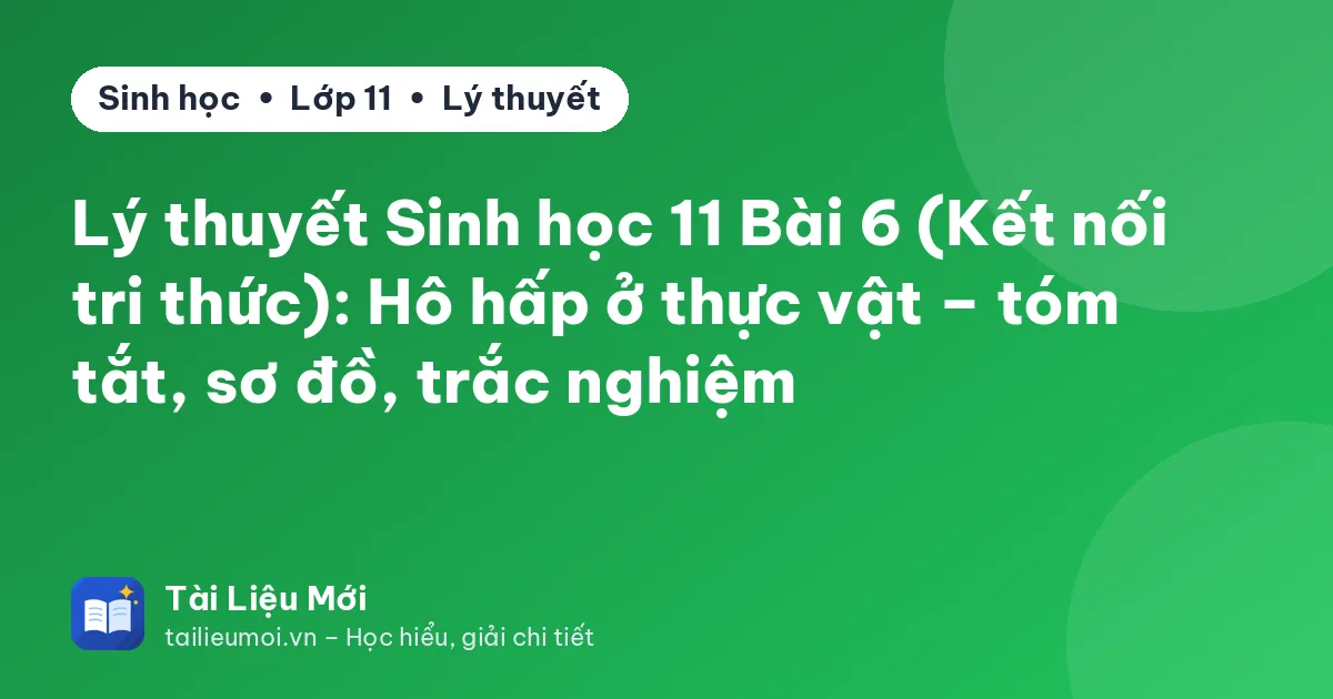 Lý thuyết Sinh học 11 Bài 6 (Kết nối tri thức): Hô hấp ở thực vật – tóm tắt, sơ đồ, trắc nghiệm
