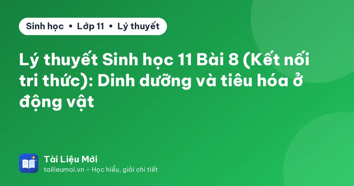 Lý thuyết Sinh học 11 Bài 8 (Kết nối tri thức): Dinh dưỡng và tiêu hóa ở động vật