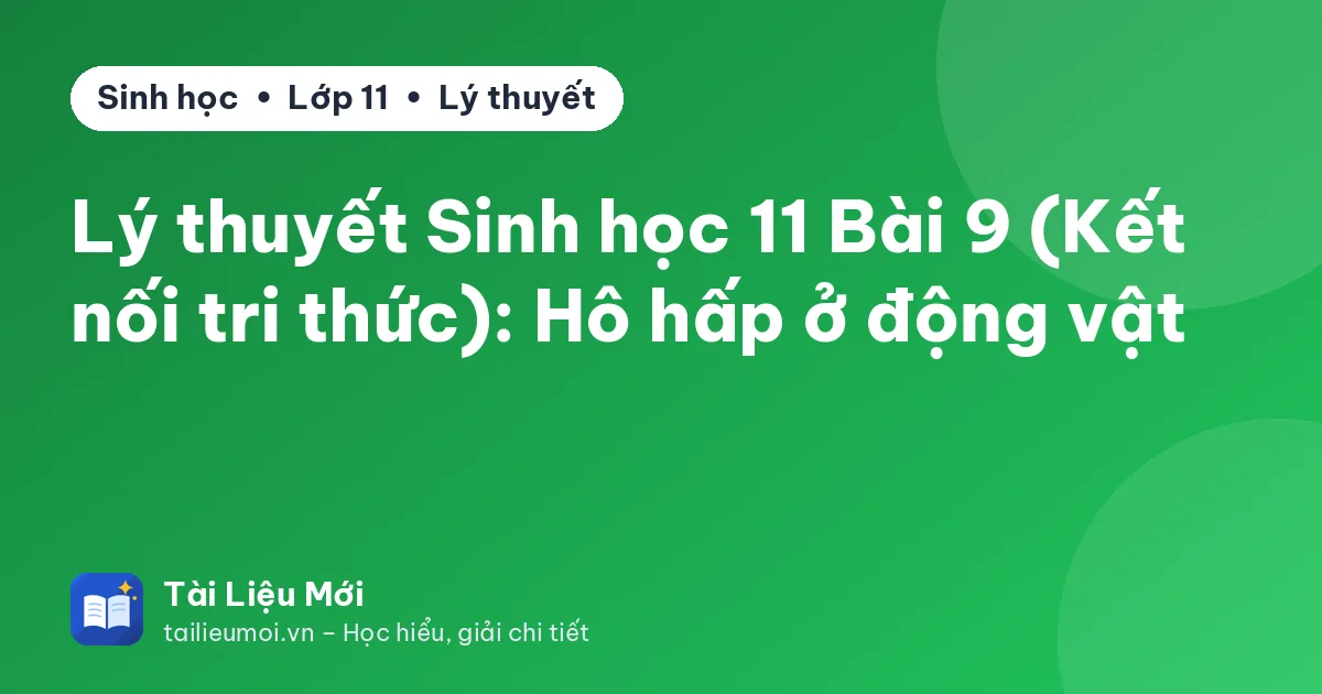 Lý thuyết Sinh học 11 Bài 9 (Kết nối tri thức): Hô hấp ở động vật