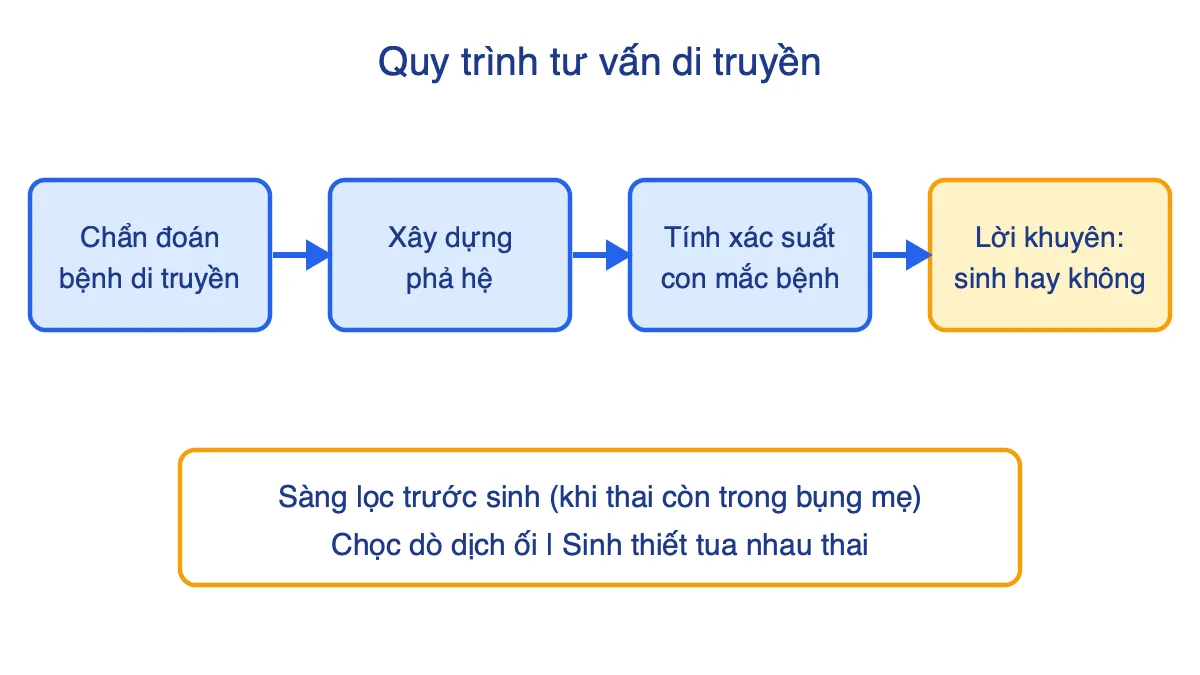 Sơ đồ bốn bước tư vấn di truyền và hai kĩ thuật sàng lọc trước sinh