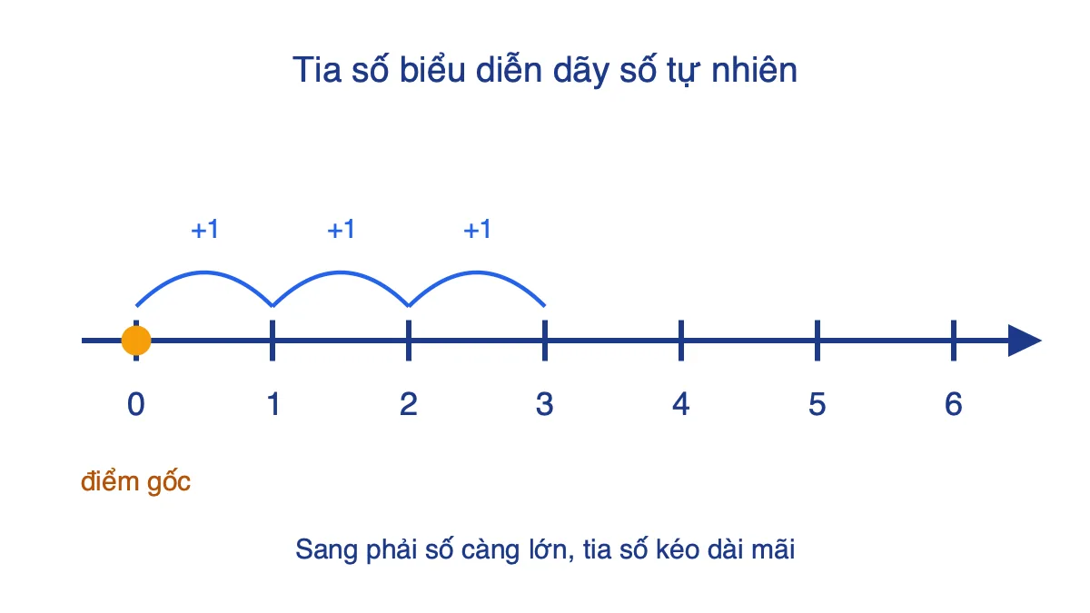 Tia số có các điểm 0, 1, 2, 3, 4, 5, 6 cách đều nhau, mỗi bước thêm 1
