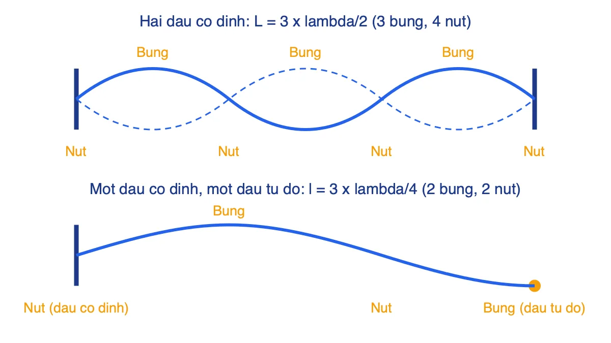 Sơ đồ sóng dừng trên dây hai đầu cố định có 3 bụng và dây một đầu cố định, một đầu tự do có 2 bụng