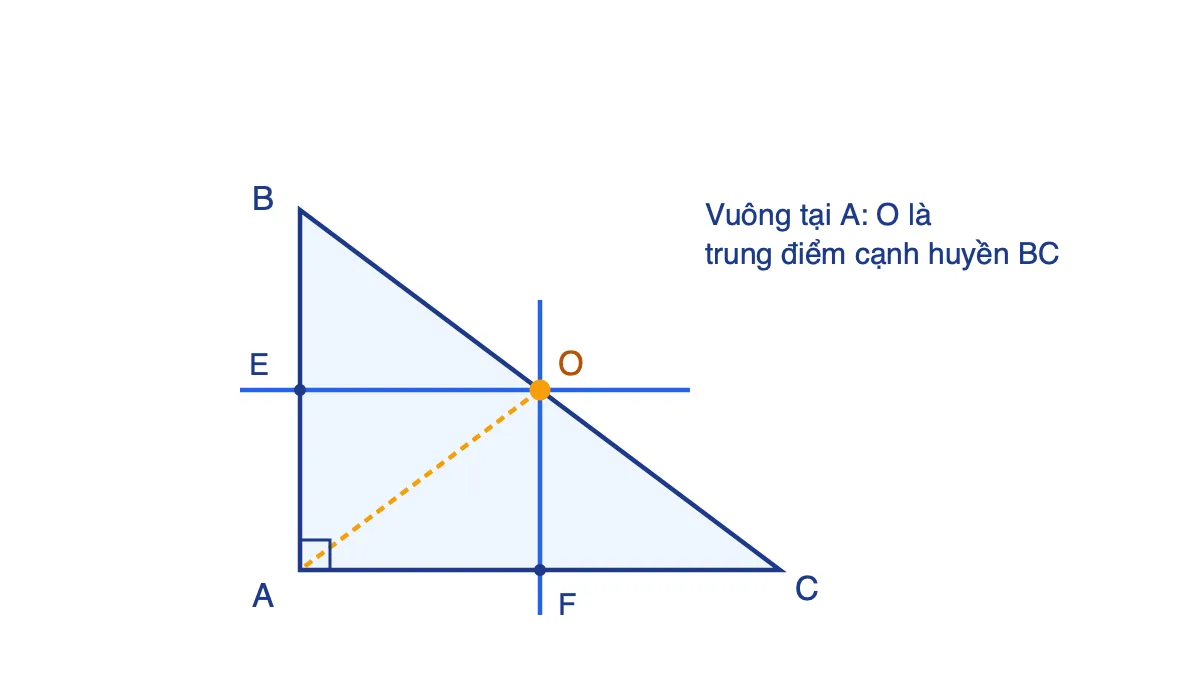 Tam giác vuông ABC tại A, giao điểm ba đường trung trực O là trung điểm cạnh huyền BC