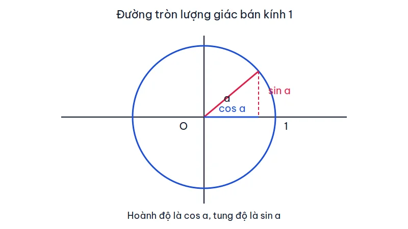 Đường tròn lượng giác tâm O bán kính 1, tia góc a, đoạn cos a trên trục hoành và đoạn sin a thẳng đứng