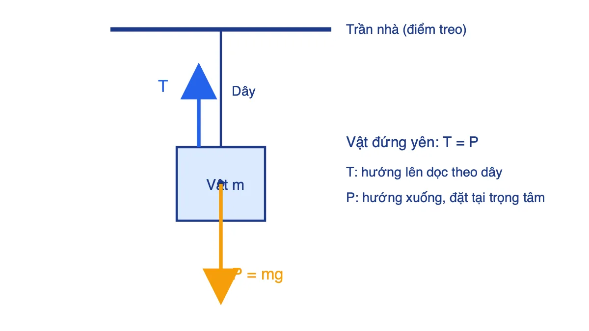 Sơ đồ vật treo bằng dây cân bằng dưới tác dụng của lực căng T hướng lên và trọng lực P hướng xuống