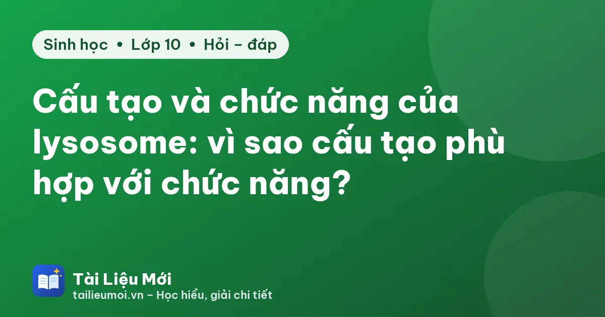 Cấu tạo và chức năng của lysosome: vì sao cấu tạo phù hợp với chức năng?