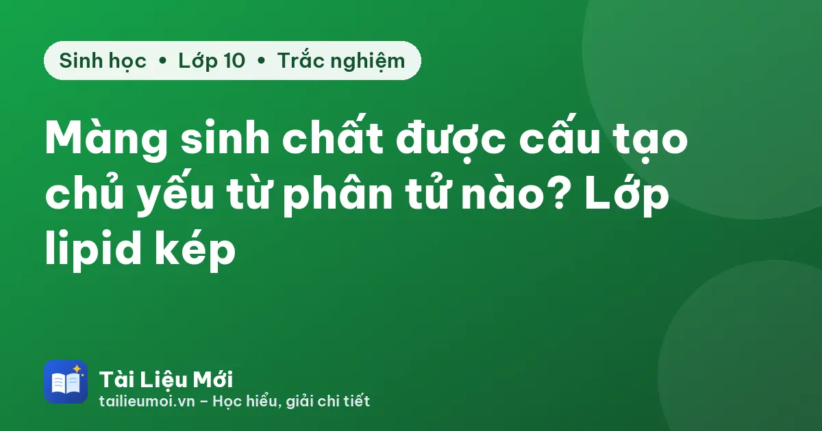 Màng sinh chất được cấu tạo chủ yếu từ phân tử nào? Lớp lipid kép