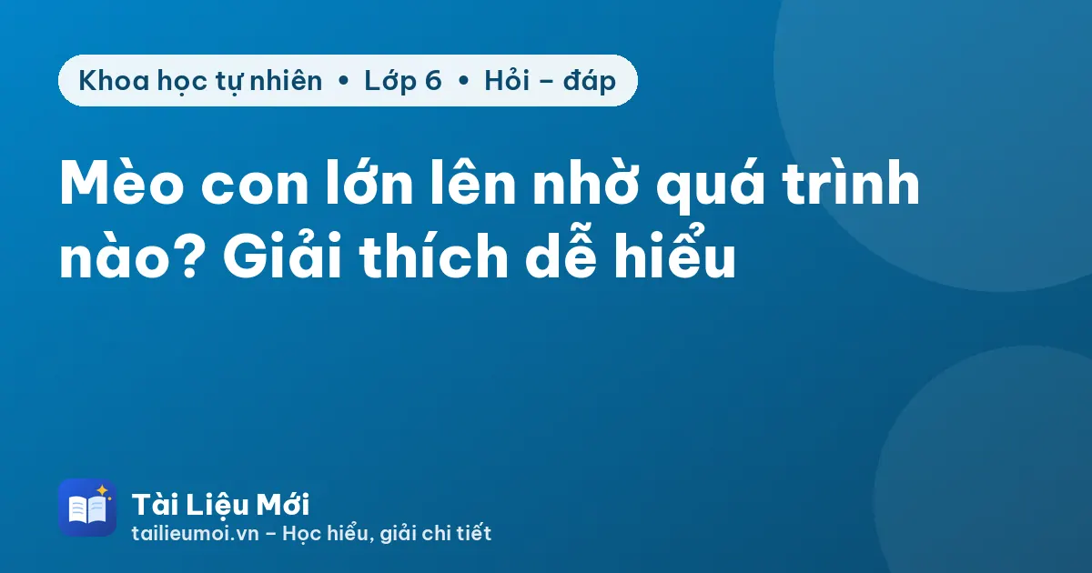 Mèo con lớn lên nhờ quá trình nào? Giải thích dễ hiểu