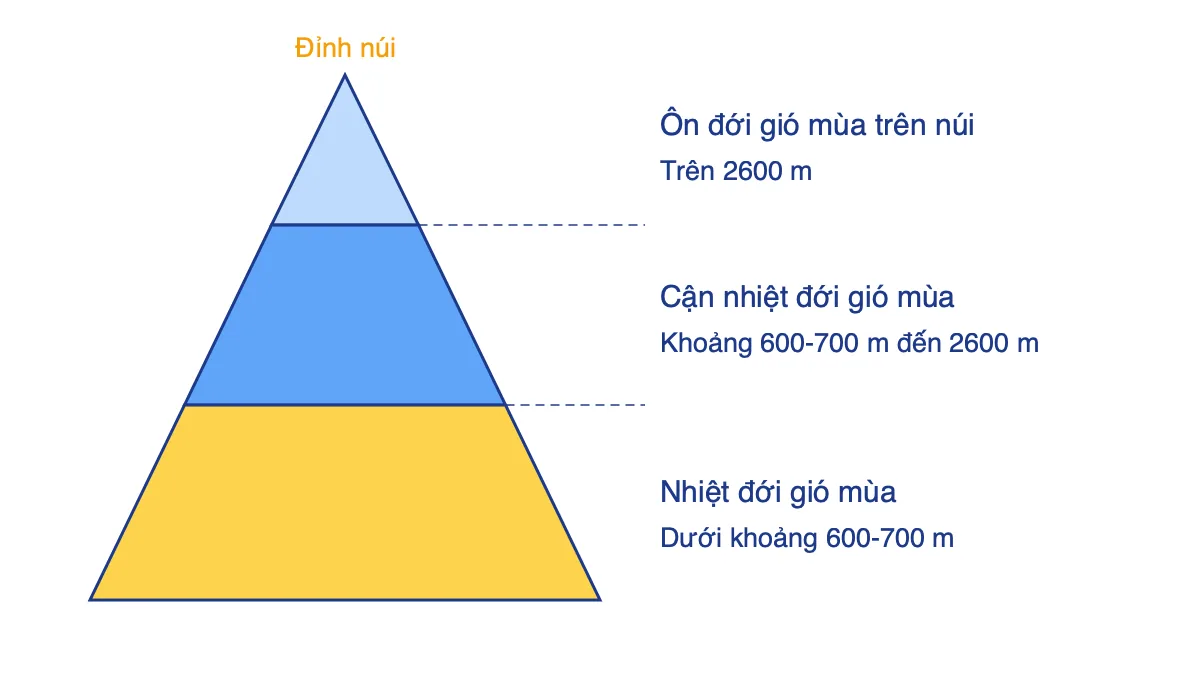 Sơ đồ ba đai cao khí hậu theo độ cao trên một ngọn núi cao