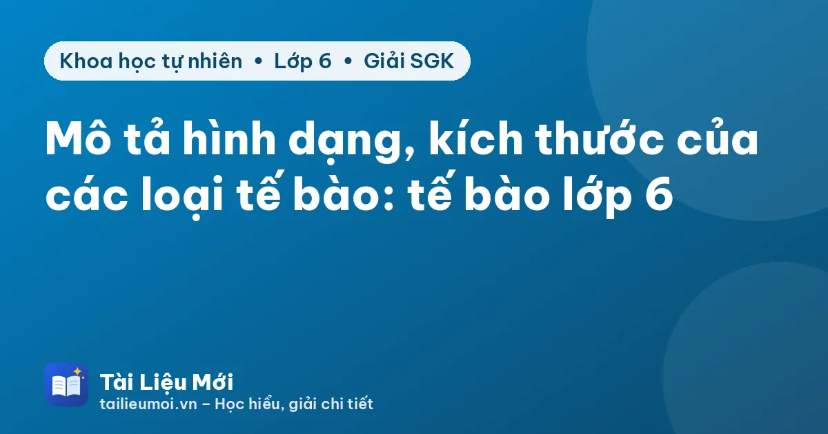 Mô tả hình dạng, kích thước của các loại tế bào: tế bào lớp 6
