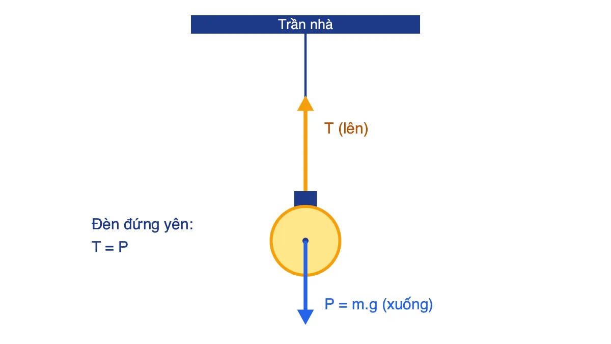 Sơ đồ lực tác dụng lên bóng đèn treo bằng dây: lực căng T hướng lên, trọng lực P hướng xuống