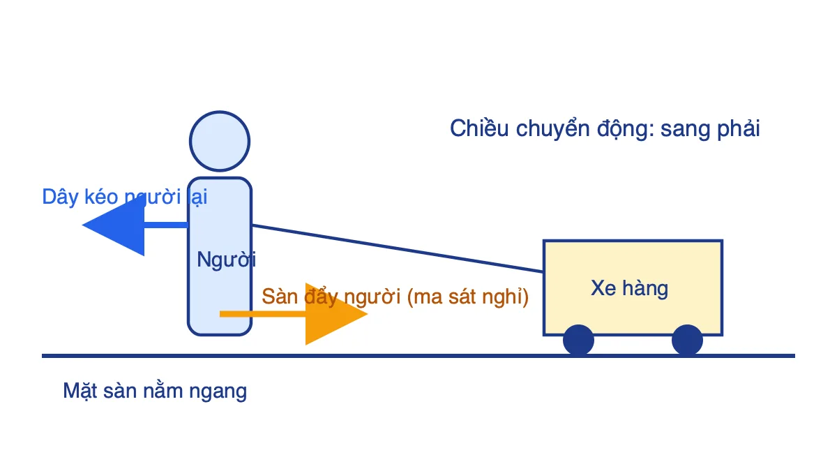 Sơ đồ các lực nằm ngang tác dụng lên người kéo xe hàng trên sàn: ma sát nghỉ của sàn hướng về phía trước và lực kéo của dây hướng về phía sau