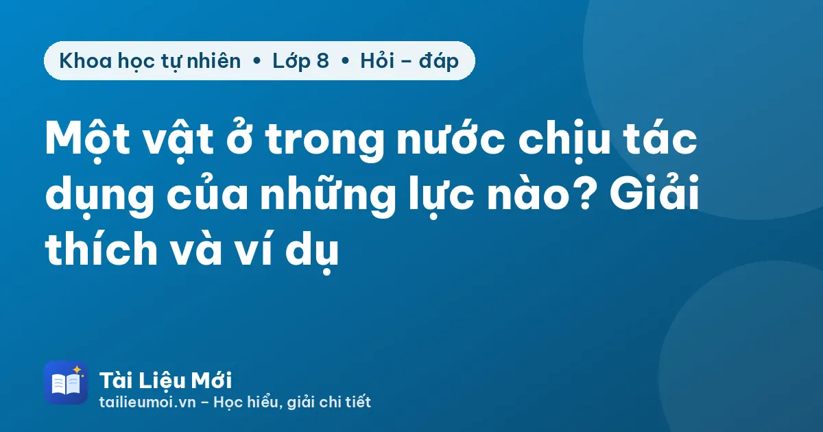 Một vật ở trong nước chịu tác dụng của những lực nào? Giải thích và ví dụ
