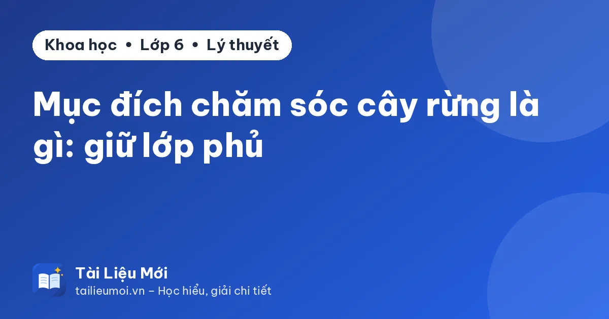Mục đích chăm sóc cây rừng là gì: giữ lớp phủ