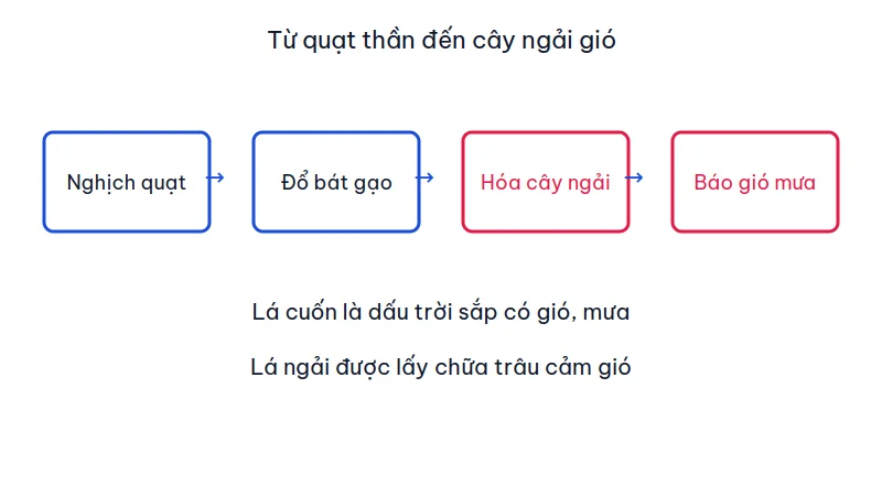 Sơ đồ bốn bước: nghịch quạt, đổ bát gạo, hóa cây ngải, báo gió mưa, kèm tập tục chữa trâu