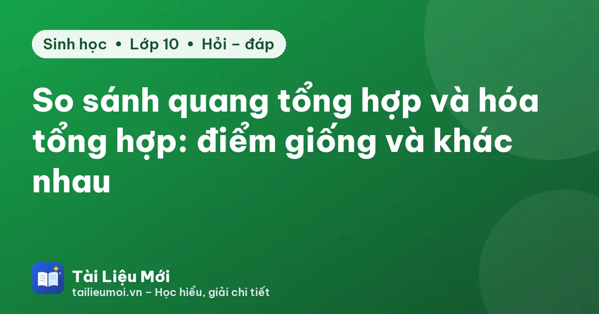 So sánh quang tổng hợp và hóa tổng hợp: điểm giống và khác nhau