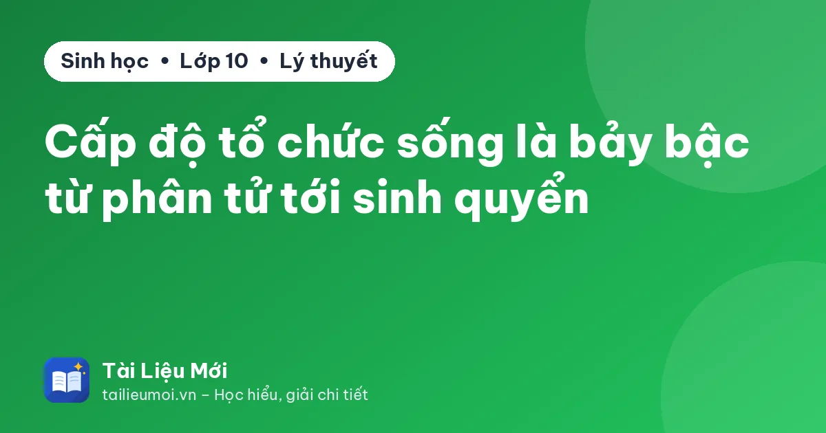Cấp độ tổ chức sống là bảy bậc từ phân tử tới sinh quyển