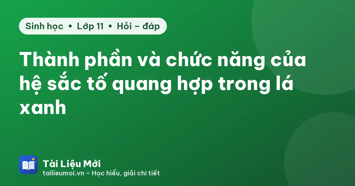 Thành phần và chức năng của hệ sắc tố quang hợp trong lá xanh