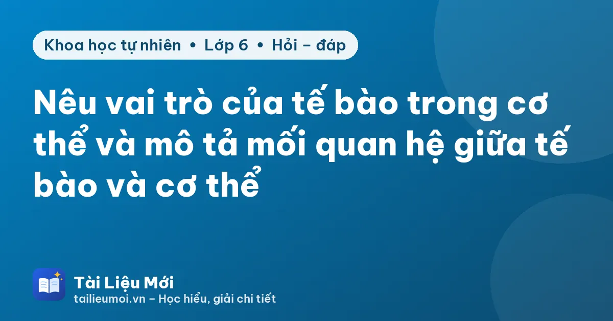 Nêu vai trò của tế bào trong cơ thể và mô tả mối quan hệ giữa tế bào và cơ thể