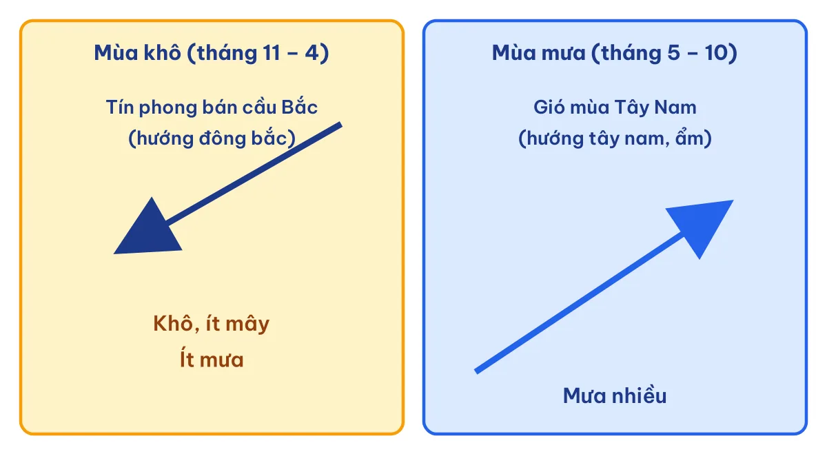Sơ đồ tín phong bán cầu Bắc gây mùa khô và gió mùa Tây Nam gây mùa mưa ở Nam Bộ