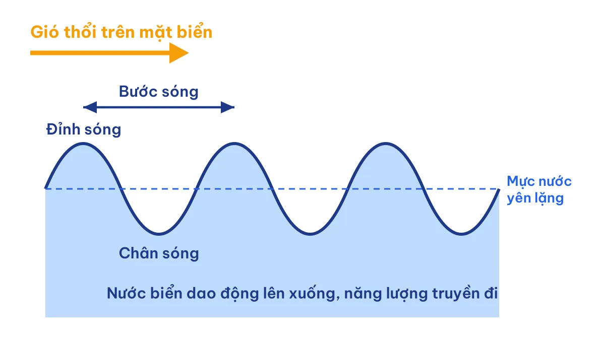 Hình minh hoạ sóng biển do gió: đỉnh sóng, chân sóng và bước sóng