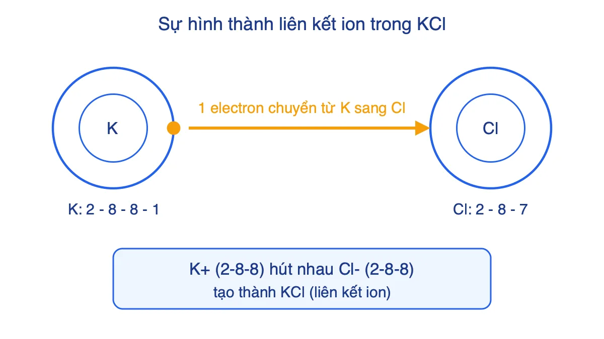 Sơ đồ nguyên tử K nhường 1 electron cho nguyên tử Cl tạo ion K+ và Cl- rồi hút nhau thành KCl