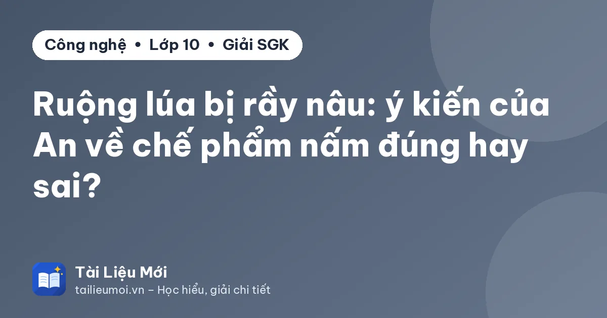 Ruộng lúa bị rầy nâu: ý kiến của An về chế phẩm nấm đúng hay sai?