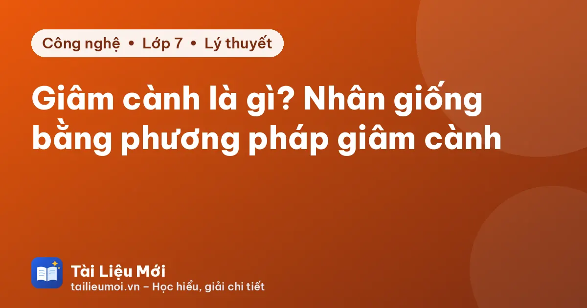 Giâm cành là gì? Nhân giống bằng phương pháp giâm cành