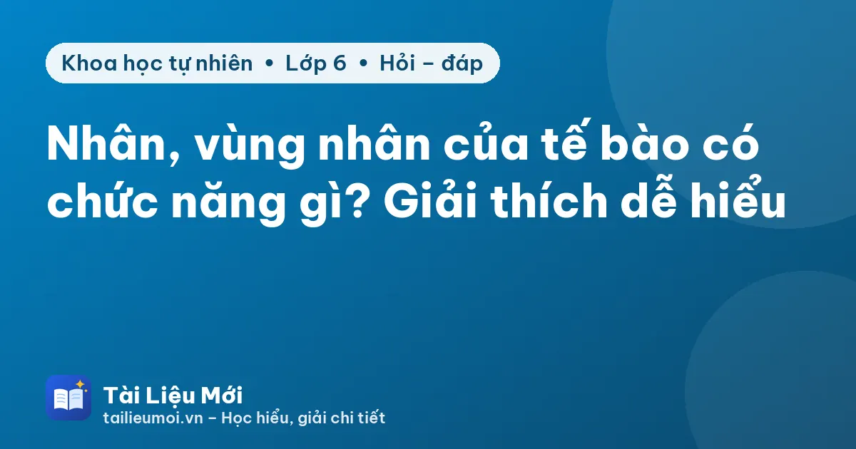 Nhân, vùng nhân của tế bào có chức năng gì? Giải thích dễ hiểu