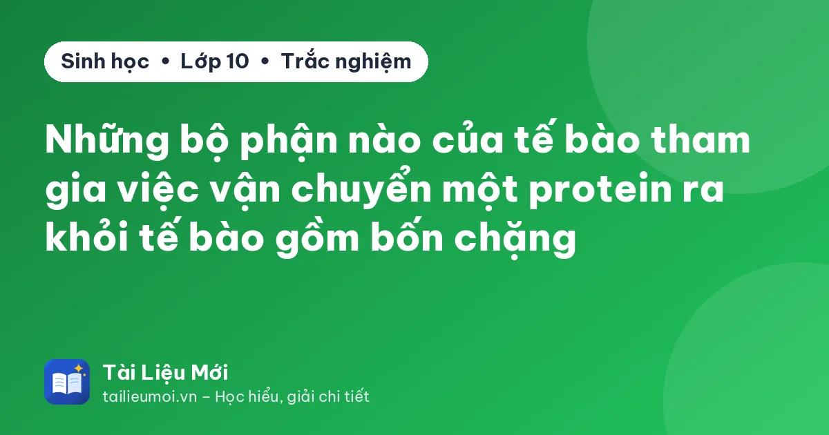 Những bộ phận nào của tế bào tham gia việc vận chuyển một protein ra khỏi tế bào gồm bốn chặng