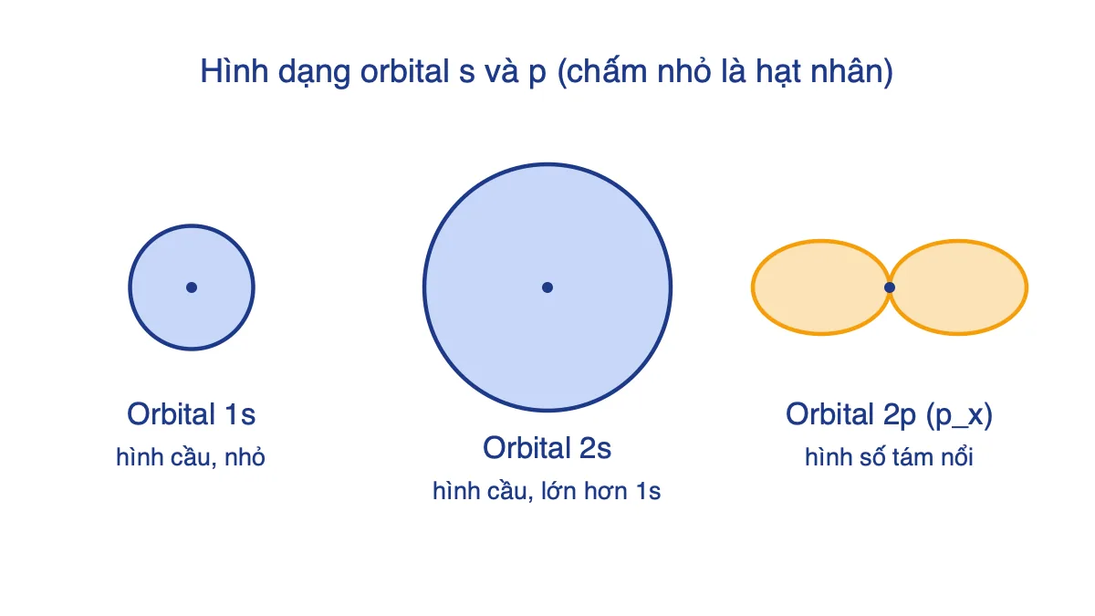So sánh orbital 1s, 2s hình cầu và orbital 2p hình số tám nổi