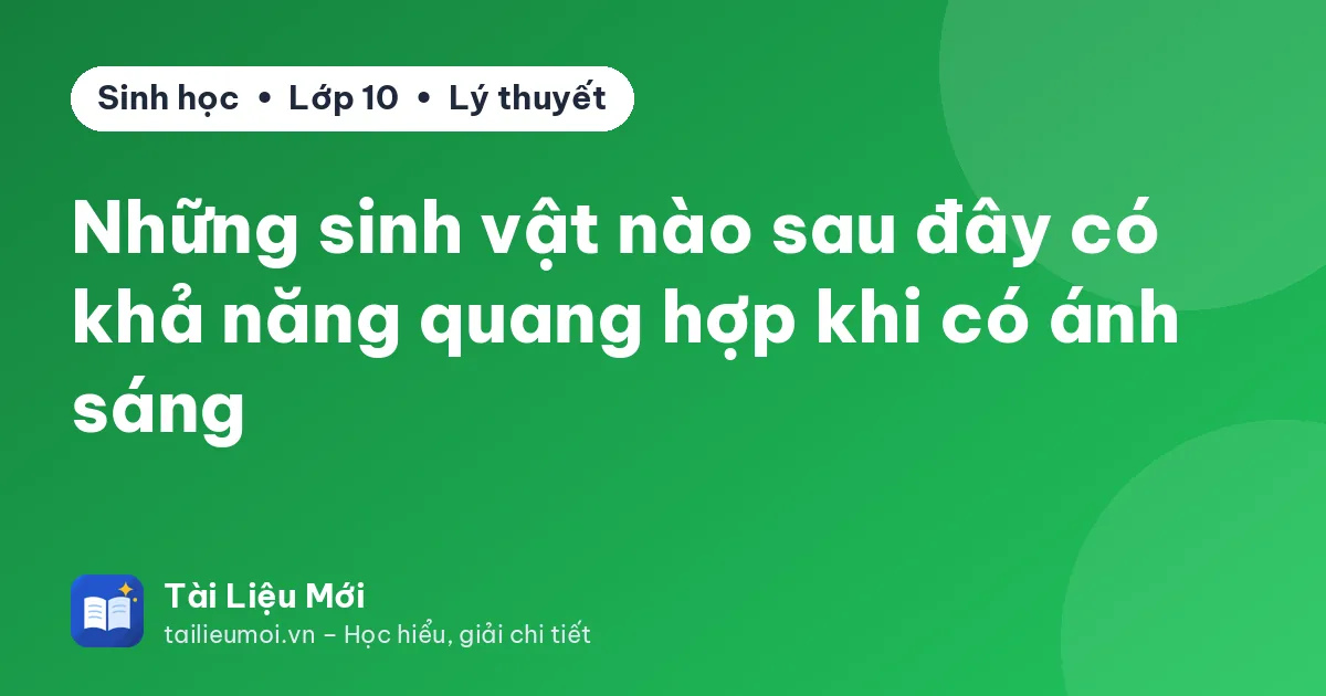 Những sinh vật nào sau đây có khả năng quang hợp khi có ánh sáng