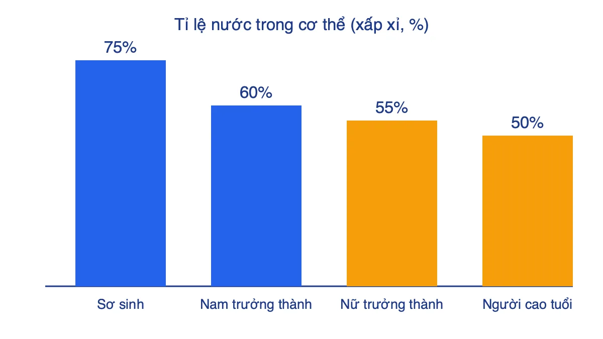 Biểu đồ cột tỉ lệ nước xấp xỉ trong cơ thể theo tuổi và giới tính