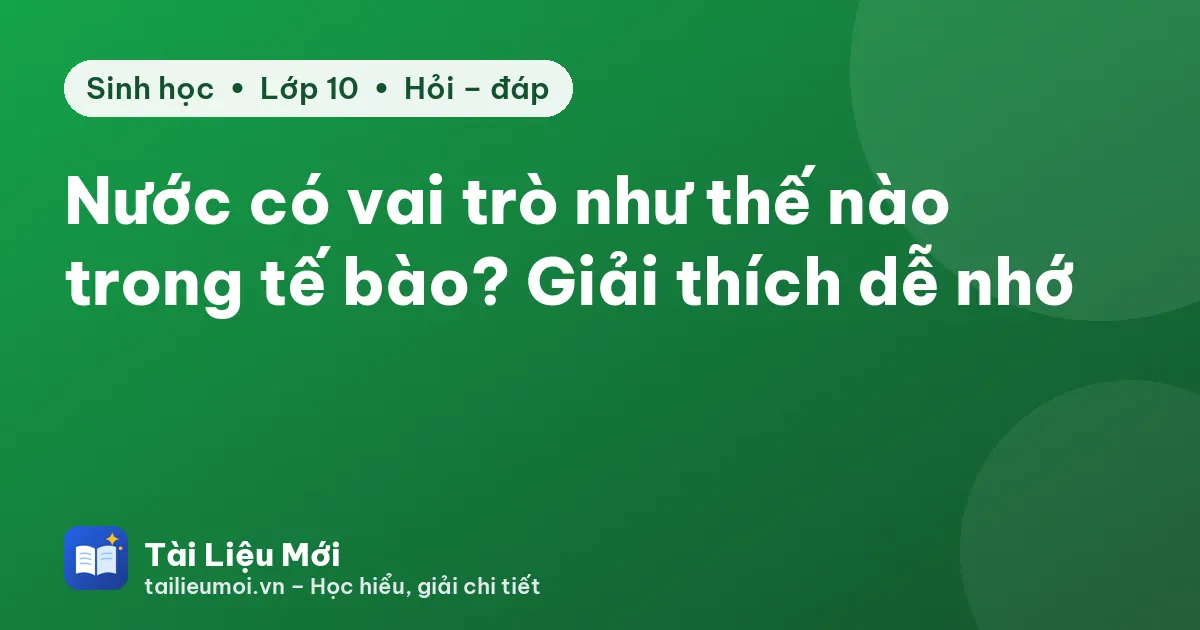 Nước có vai trò như thế nào trong tế bào? Giải thích dễ nhớ