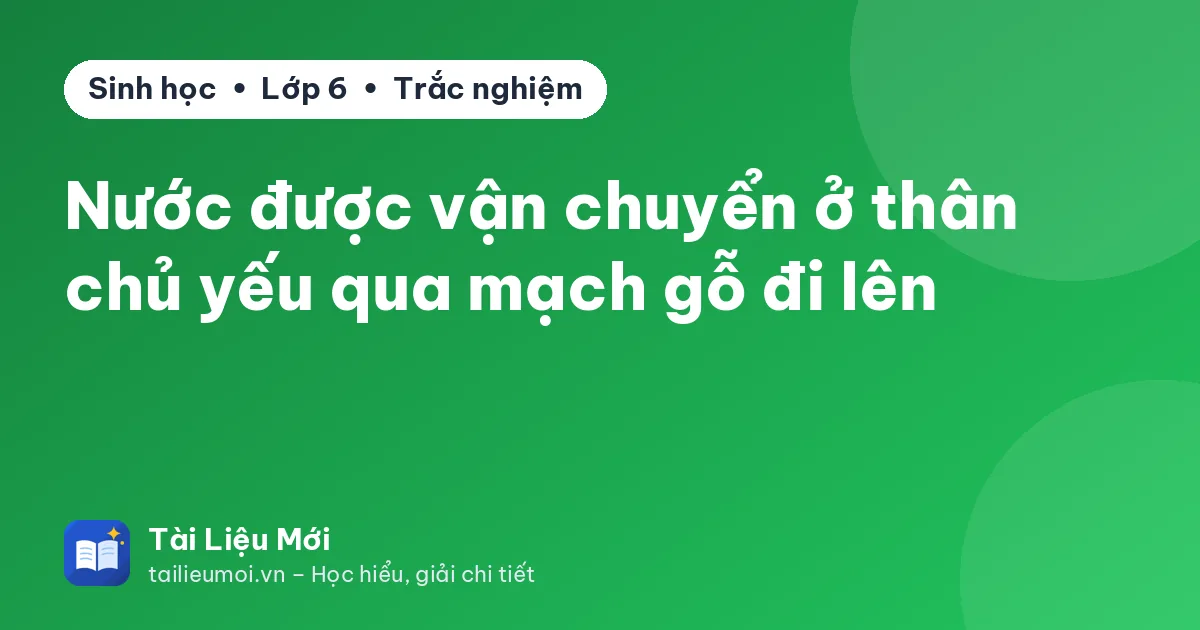 Nước được vận chuyển ở thân chủ yếu qua mạch gỗ đi lên