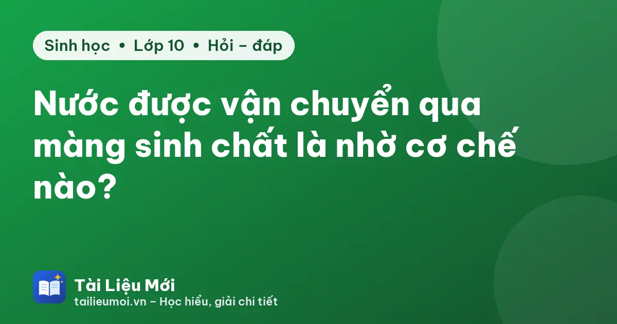 Nước được vận chuyển qua màng sinh chất là nhờ cơ chế nào?